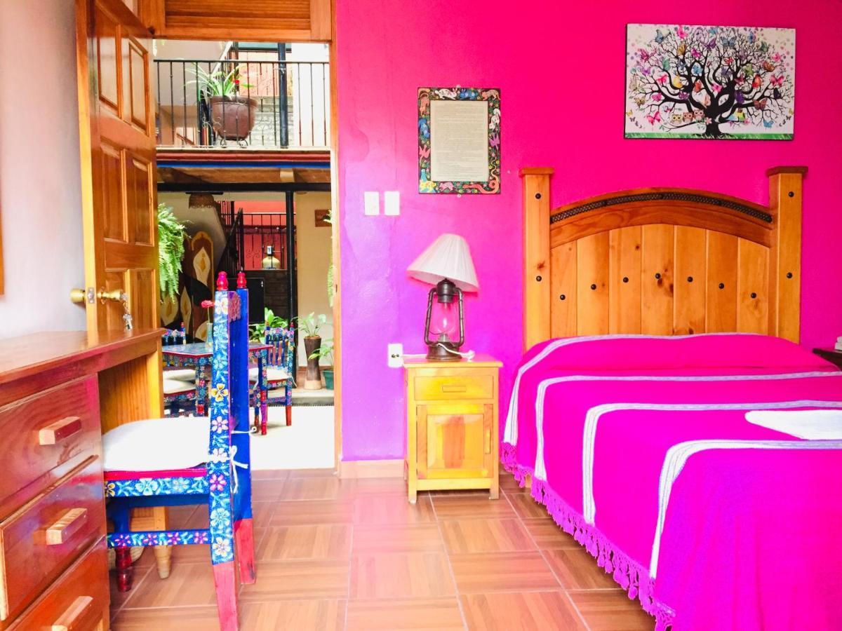 Hotel Cazomalli Oaxaca エクステリア 写真