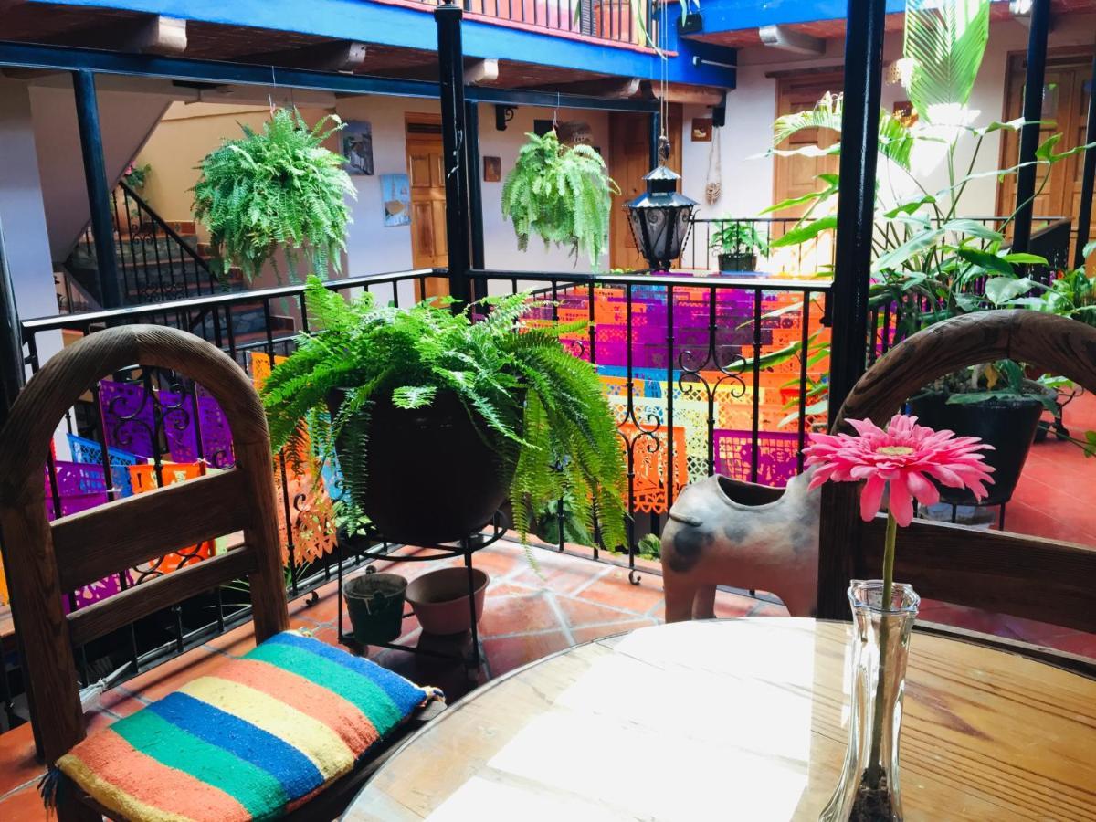 Hotel Cazomalli オアハカ州 エクステリア 写真