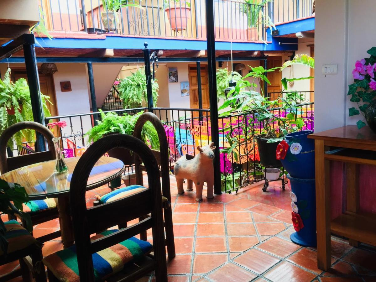 Hotel Cazomalli Oaxaca エクステリア 写真