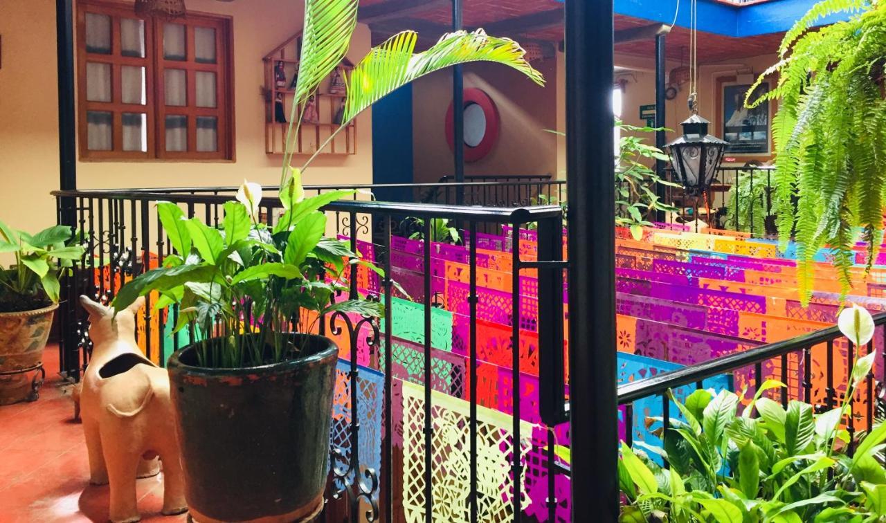 Hotel Cazomalli Oaxaca エクステリア 写真