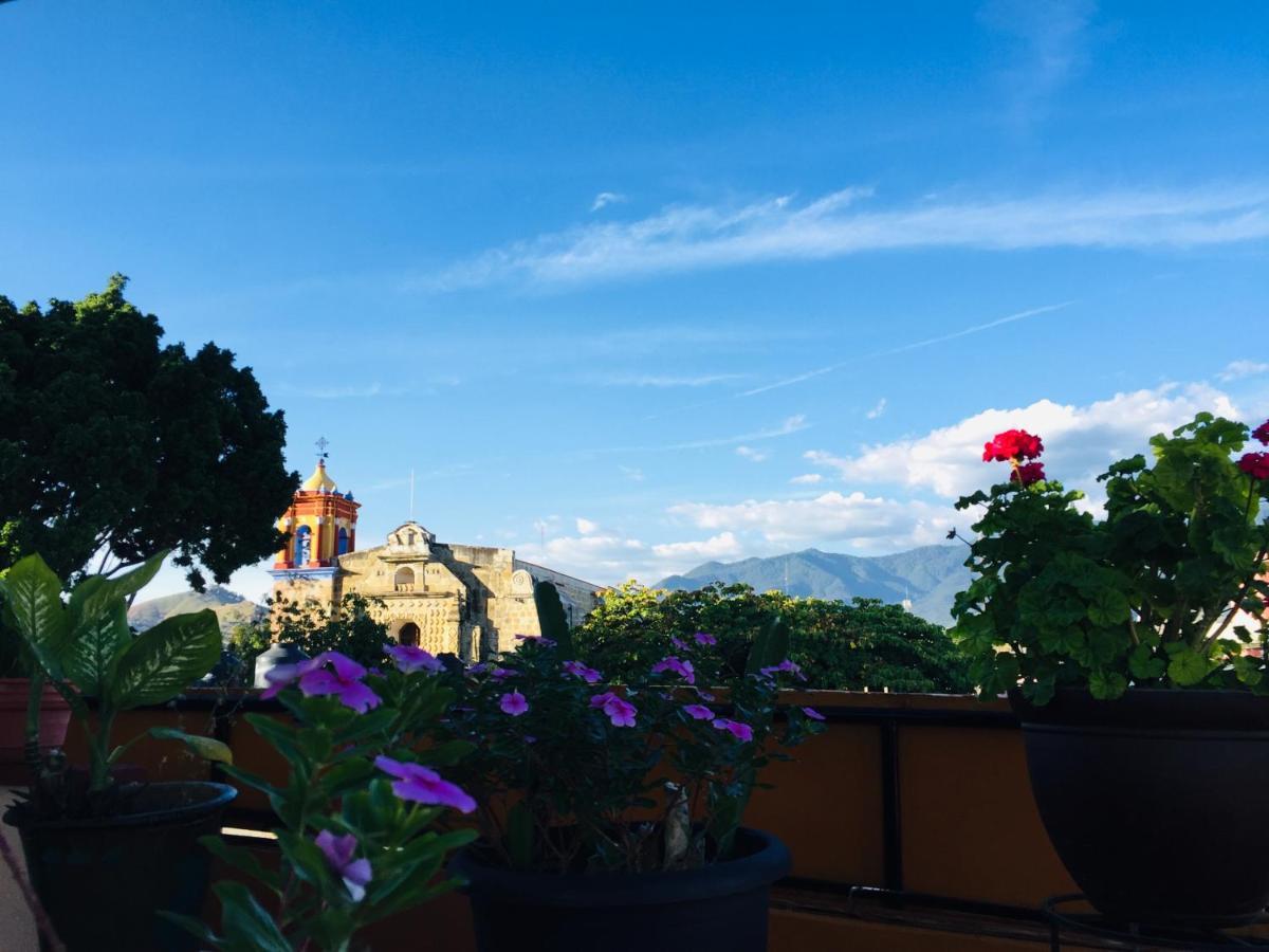 Hotel Cazomalli Oaxaca エクステリア 写真