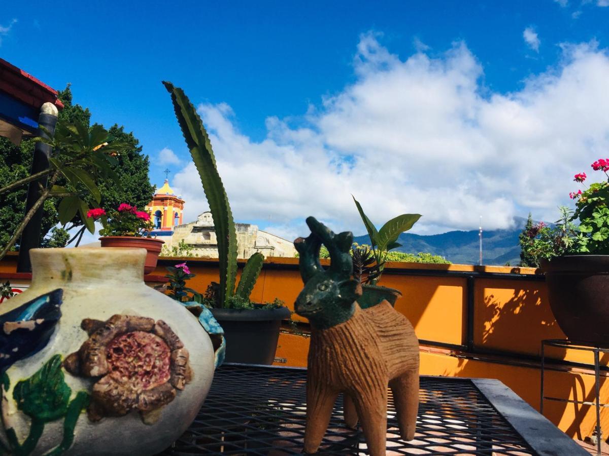 Hotel Cazomalli Oaxaca エクステリア 写真