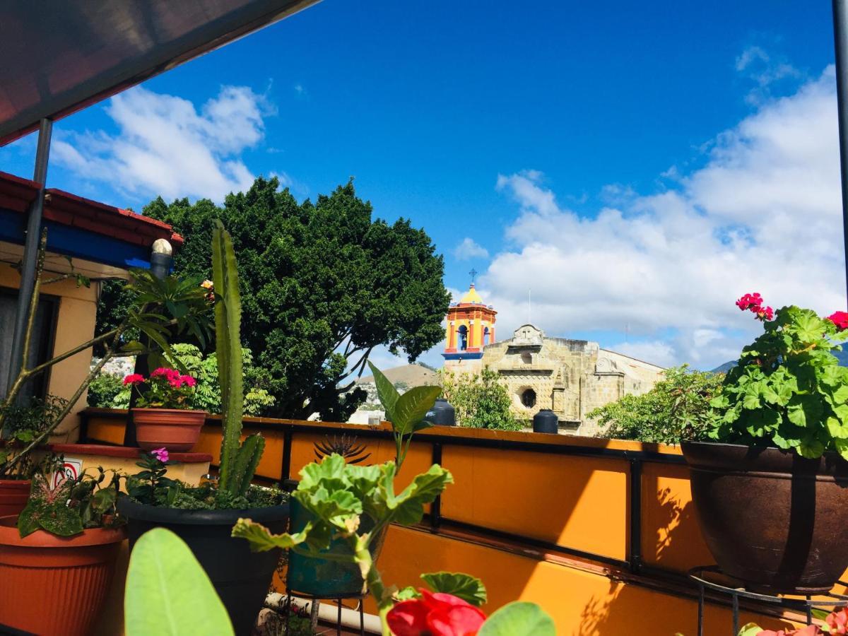 Hotel Cazomalli Oaxaca エクステリア 写真