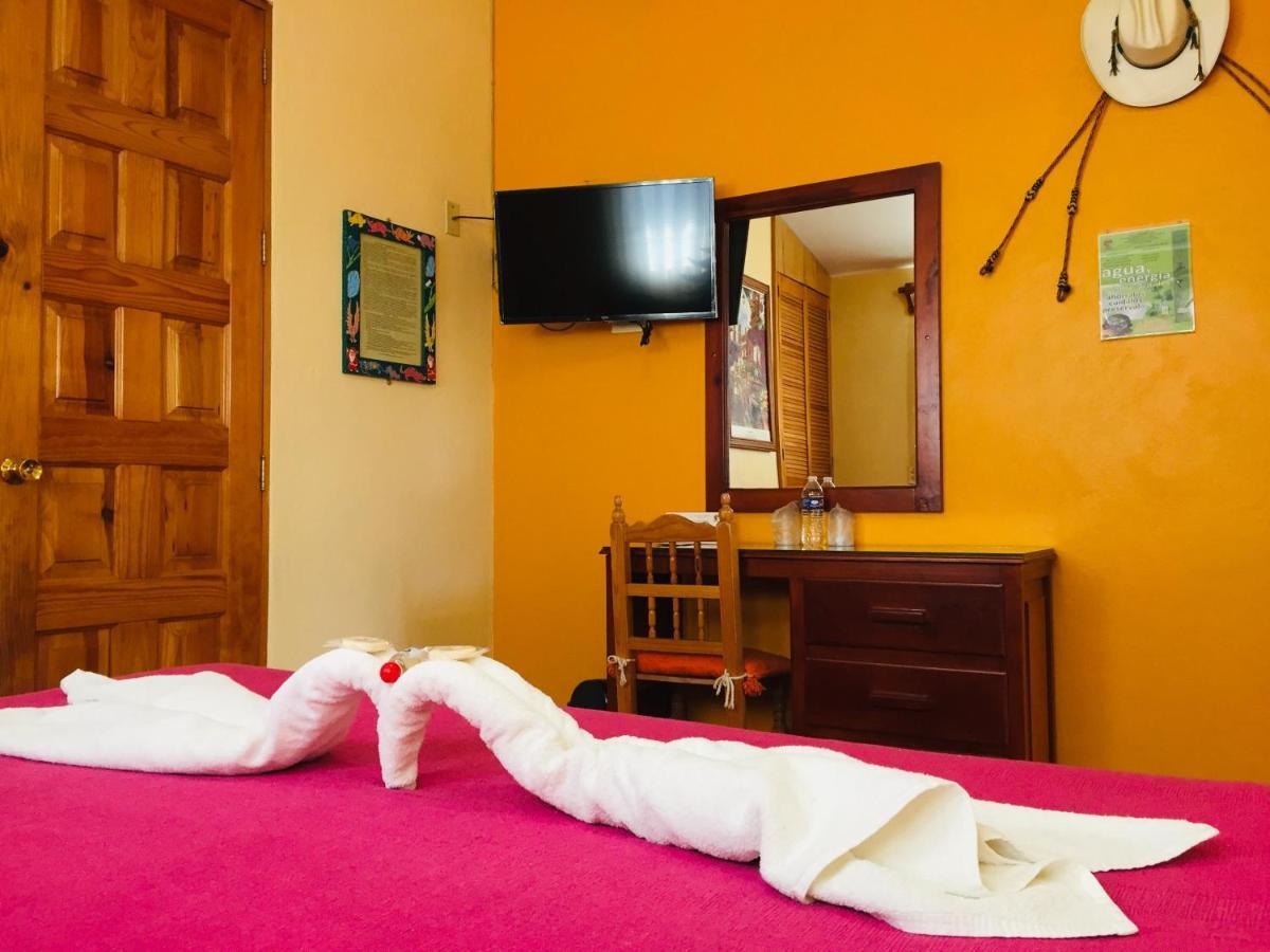 Hotel Cazomalli Oaxaca エクステリア 写真