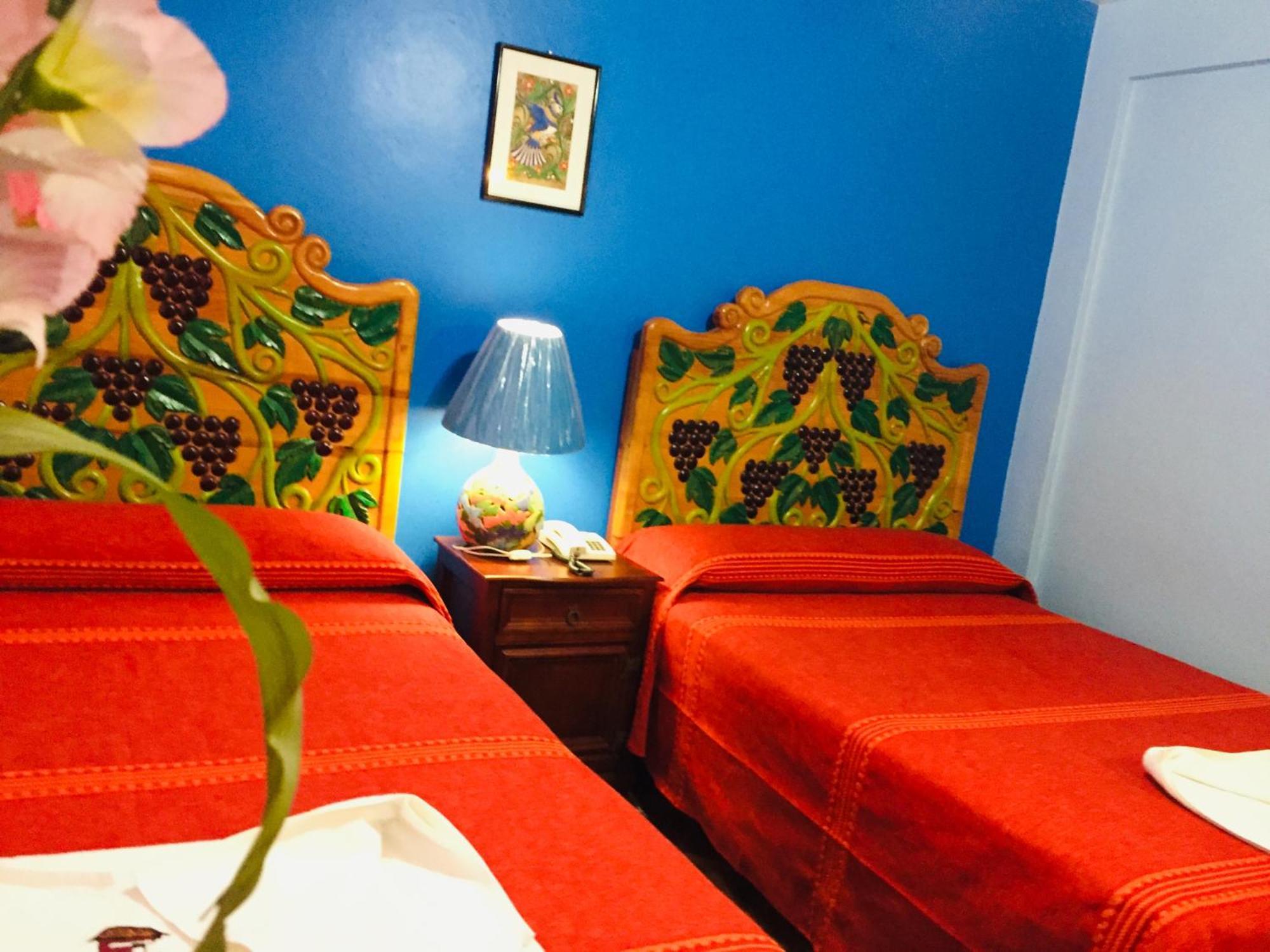 Hotel Cazomalli オアハカ州 エクステリア 写真